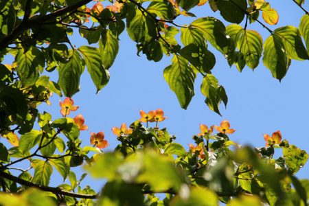 小菅トラウトガーデン 釣果