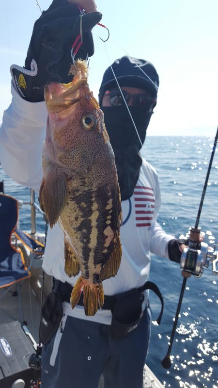 海峰 釣果