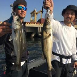 シーマジカル 釣果