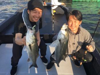 シーマジカル 釣果