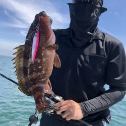 Magic(マジック) 釣果