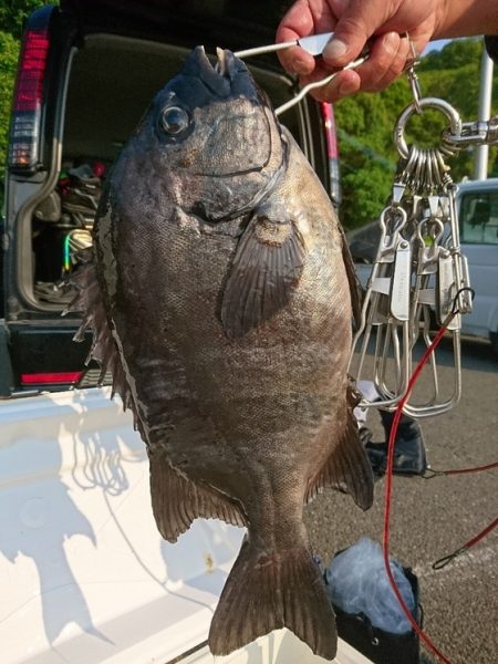 千津丸 釣果