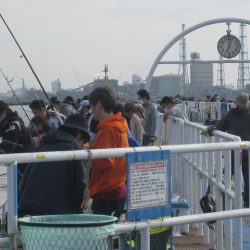 オリジナルメーカー海づり公園(市原市海づり施設) 釣果