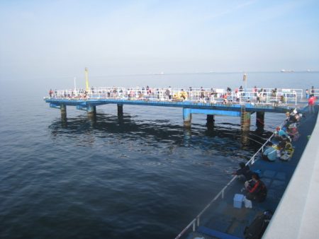 オリジナルメーカー海づり公園(市原市海づり施設) 釣果