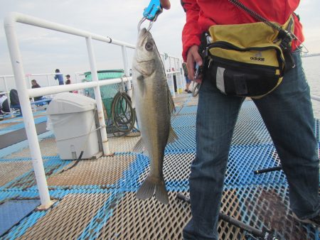 オリジナルメーカー海づり公園(市原市海づり…