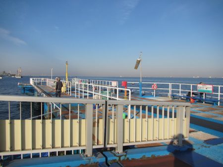 オリジナルメーカー海づり公園(市原市海づり施設) 釣果