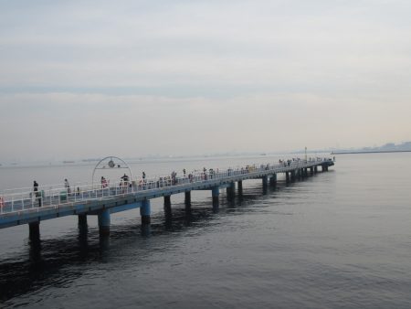 オリジナルメーカー海づり公園(市原市海づり施設) 釣果