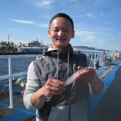 オリジナルメーカー海づり公園(市原市海づり施設) 釣果