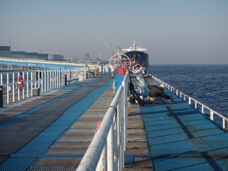 オリジナルメーカー海づり公園(市原市海づり施設) 釣果