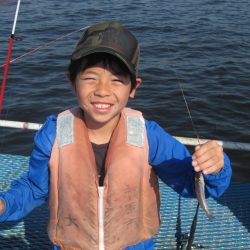 オリジナルメーカー海づり公園(市原市海づり施設) 釣果