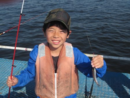 オリジナルメーカー海づり公園(市原市海づり施設) 釣果