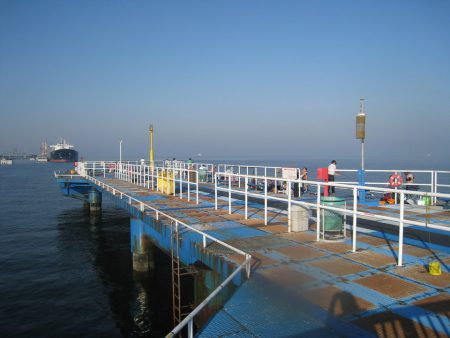 オリジナルメーカー海づり公園(市原市海づり施設) 釣果