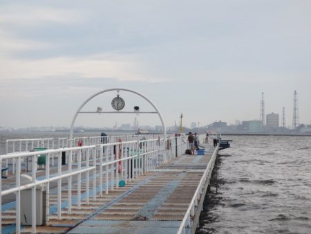 オリジナルメーカー海づり公園(市原市海づり施設) 釣果