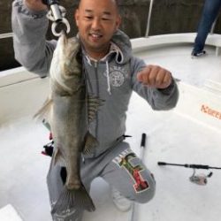 シーマジカル 釣果