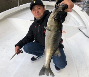 シーマジカル 釣果