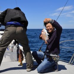 クルーズ 釣果