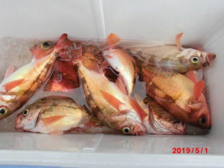 大進丸(新潟) 釣果