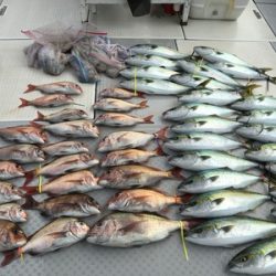 ミタチ丸 釣果
