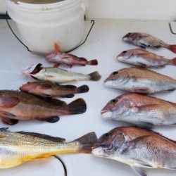 暁〜akatsuki〜 釣果