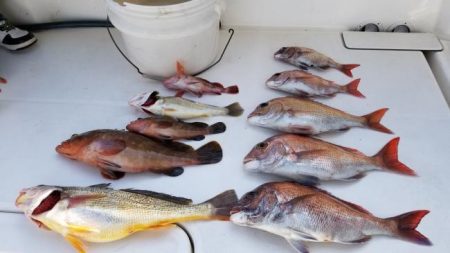 暁〜akatsuki〜 釣果