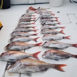 暁〜akatsuki〜 釣果