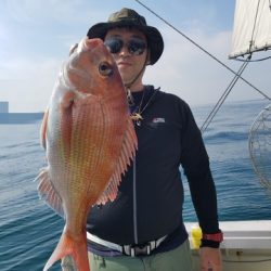 遊漁船　ニライカナイ 釣果