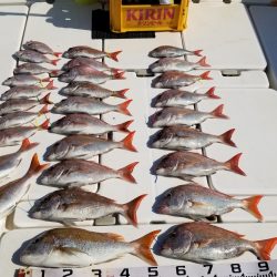 暁〜akatsuki〜 釣果