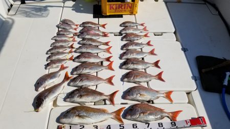 暁〜akatsuki〜 釣果