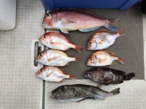 さぶろう丸 釣果
