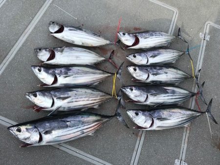 へいみつ丸 釣果