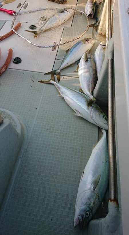 スカイマリン 釣果