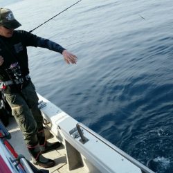 つれ鷹丸 釣果