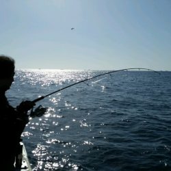 つれ鷹丸 釣果