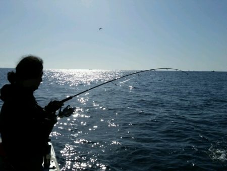 つれ鷹丸 釣果
