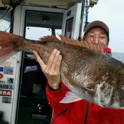 つれ鷹丸 釣果