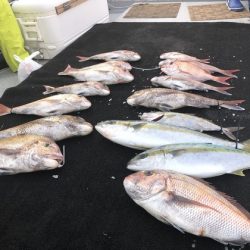 幸風(さちかぜ) 釣果