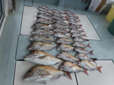 遊漁船 幸友丸 釣果