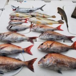 暁〜akatsuki〜 釣果