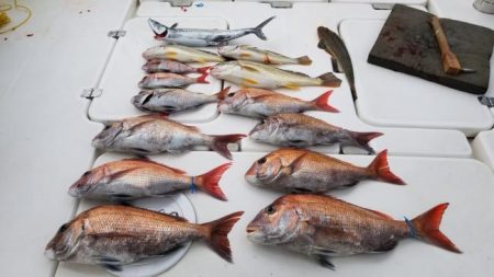 暁〜akatsuki〜 釣果