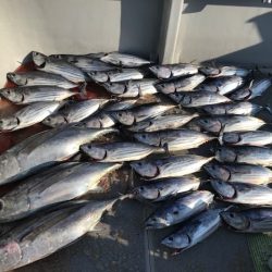 へいみつ丸 釣果