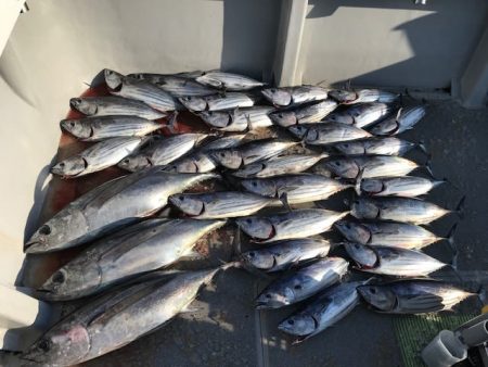 へいみつ丸 釣果