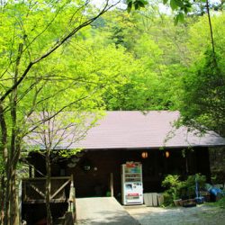 小菅トラウトガーデン 釣果