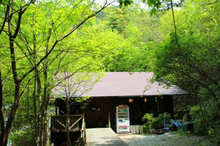 小菅トラウトガーデン 釣果