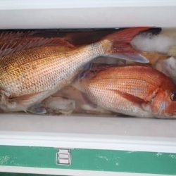 第二むつ漁丸 釣果