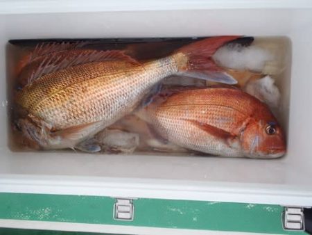 第二むつ漁丸 釣果