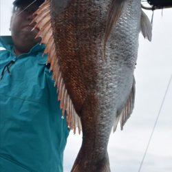 Fisherman Dreams DI 釣果