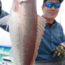 伊豆下田フィッシング 釣果