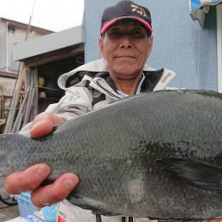 伊豆下田フィッシング 釣果