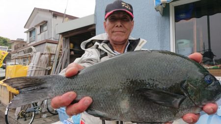 伊豆下田フィッシング 釣果