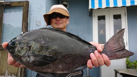 伊豆下田フィッシング 釣果